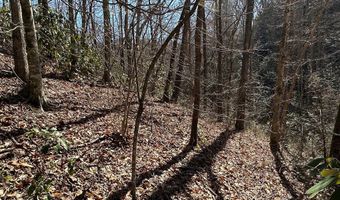 Lot 7 Valley View Heights Lane, Andrews, NC 28901