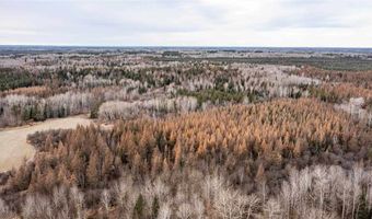8874 Highway 25, Angora, MN 55703