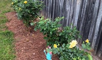 247 Horseshoe Trl, Barnwell, SC 29812