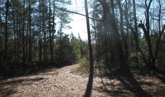 Buckhead Rd, Blair, SC 29015