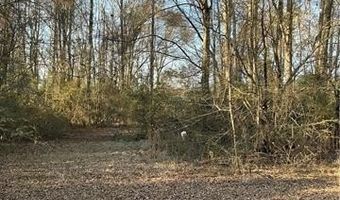 21305 HWY 1061, Amite, LA 70422