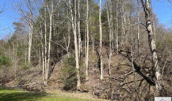 1679 Poplar Knob Rd, Austinville, VA 24312