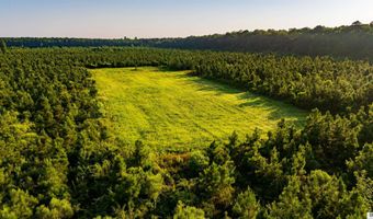 CARPENTER ROAD, Bastrop, LA 71220