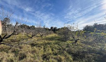 18250 RAVENSWOOD Rd, Altoona, FL 32702