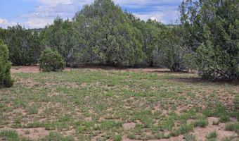 Birdwing Lane, Clay Springs, AZ 85923