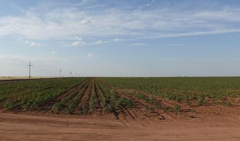 FM 597, Abernathy, TX 79311