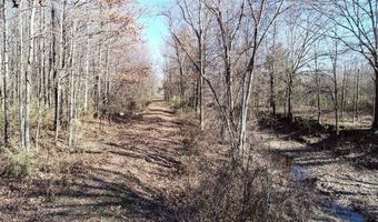 6075 Curtis Rd, Batesville, MS 38606