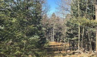 Rainbow Overlook lot 1227, Angel Fire, NM 87710