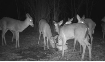 767 County Road 500, Ashland, OH 44805