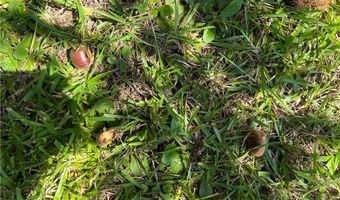 County Road 15, Bankston, AL 35542