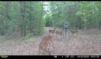4814 NW 244 Ave, Alachua, FL 32615