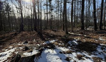 Nepaug Road, Burlington, CT 06013
