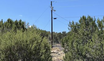 5 County Rd # 8095, Concho, AZ 85924
