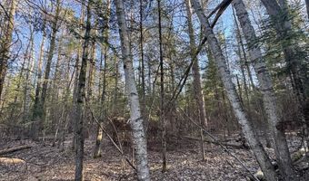V/L Wildwood Road lot 1, Alger, MI 48610