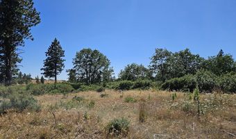 67 TIMBER Ln, Bickleton, WA 99322