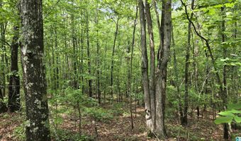 0 CRAGFORD Rd, Ashland, AL 36251