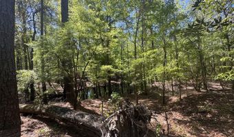 5 6 7 53 Off Highway Lot 5 6 & 7, Atkinson, NC 28421