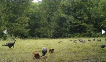 Gun Baoyu Road, Belzoni, MS 39038