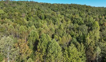 0 Slasham Rd, Ashville, AL 35953