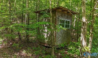 Unit # 0 Murphree Valley Road, Altoona, AL 35952