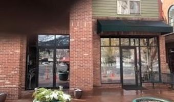 355 Gold Rivers Court Unit 2 & 2A 2 & 2A, Basalt, CO 81621