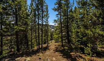 Washakie Road, Big Sky, MT 59716