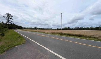 Morrisville Road, Andrews, SC 29510