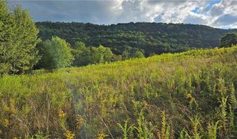 Shaver Hollow, Andes, NY 13731