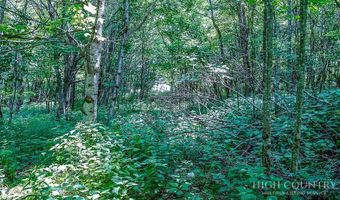 218 Old Mountain Rd, Banner Elk, NC 28604