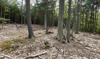 Map 212 Lot 49 Durrell Mountain Road, Belmont, NH 03220