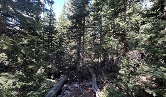 W Hunter Ridge Dr, Brian Head, UT 84719