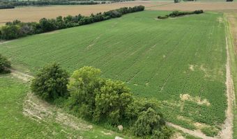 290 CR, Asbury, MO 64832