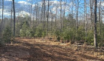 Andrews Mill Rd, Bostic, NC 28018