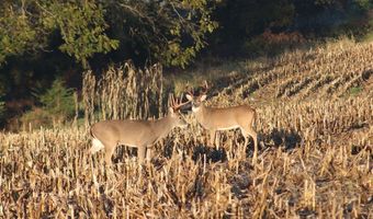 189 Th St, Albia, IA 52531