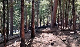 778 Yuroc Dr, Arnold, CA 95223