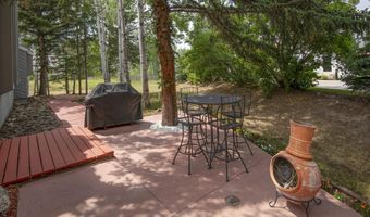 94 Lupine Ln, Avon, CO 81620