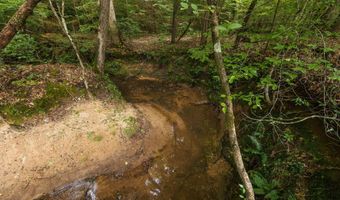 0 Brooksie Thompson Rd, Bath Springs, TN 38311