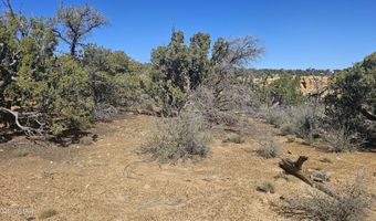 4 County Rd, Concho, AZ 85924