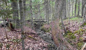 Map 202-Lot 39 Parker Road, Bethlehem, NH 03574