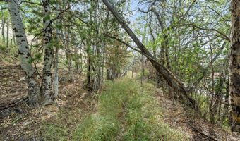 N Cable Road, Anaconda, MT 59711