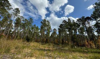 02 Seneca St Ext, Calhoun Falls, SC 29628
