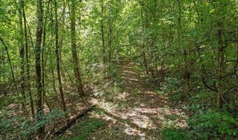 N Fork River Road, Abingdon, VA 24210
