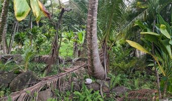 53-354 Kamehameha Hwy 3F, Hauula, HI 96717