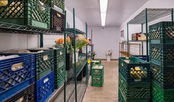 703 E WESTERN Ave, Avondale, AZ 85323