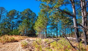 6978 Moontown Dr, Appling, GA 30802