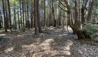 Agness-Illahe Rd, Agness, OR 97406
