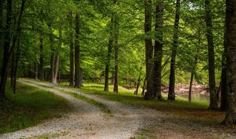 7723 Johnson Mill Rd, Bahama, NC 27503