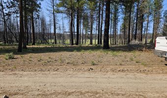 Parazoo Trail Lot 2 Block 8, Bly, OR 97622