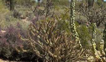 1725 E STAGHORN Ln, Carefree, AZ 85377