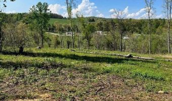 Tract 2 Mill Creek Rd, Andersonville, TN 37705